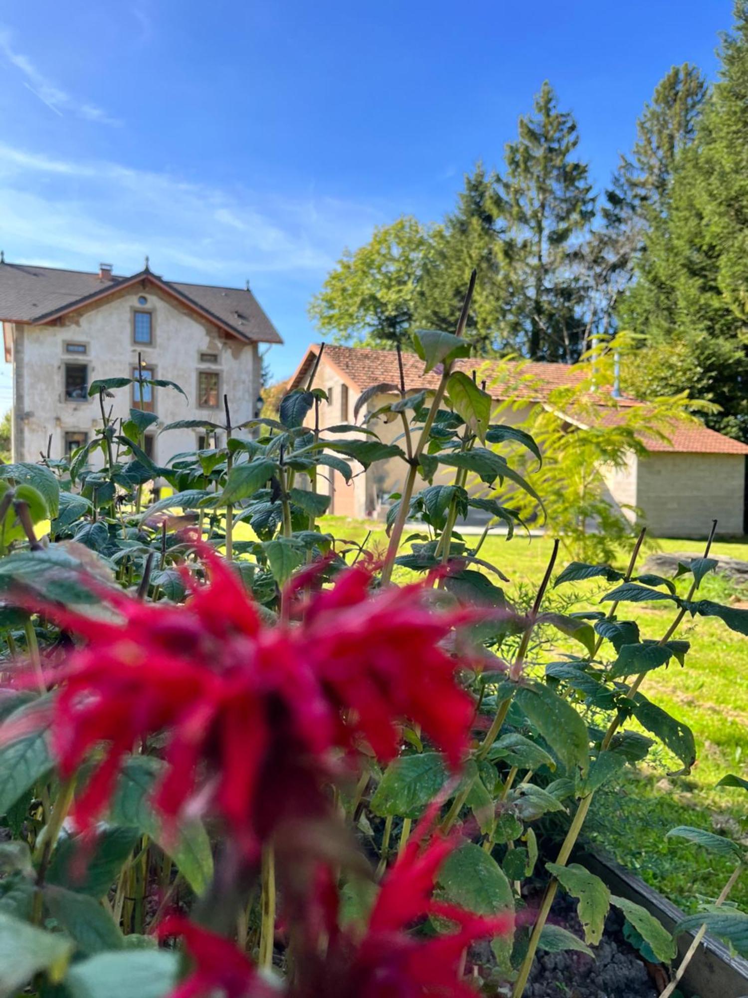 Chambre D'Hote Cosy Domaine Du Bagnerot La Chapelle-aux-Bois ภายนอก รูปภาพ